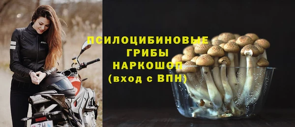 jwh Алзамай