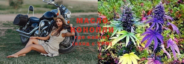 мет Алексин