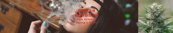 шишки Зарайск