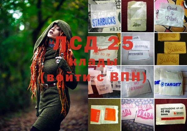 мет Алексин