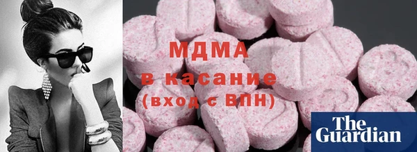мет Алексин