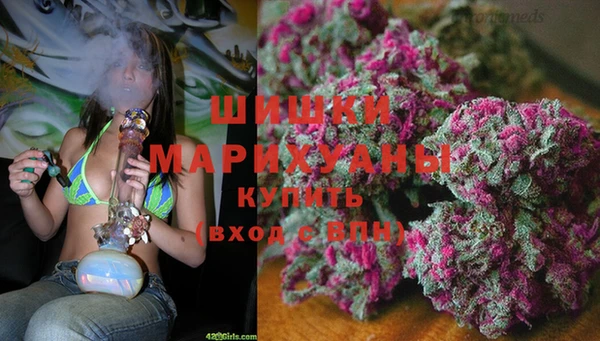jwh Алзамай